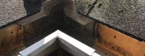 gutter cleaning services