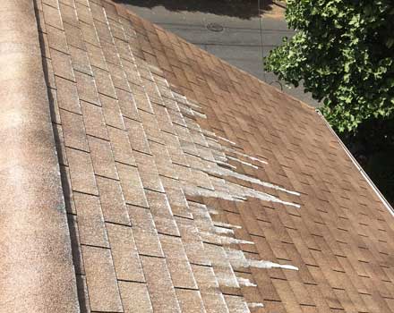 roof-cleaning-soft-wash