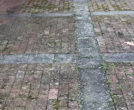 patio before cleaning