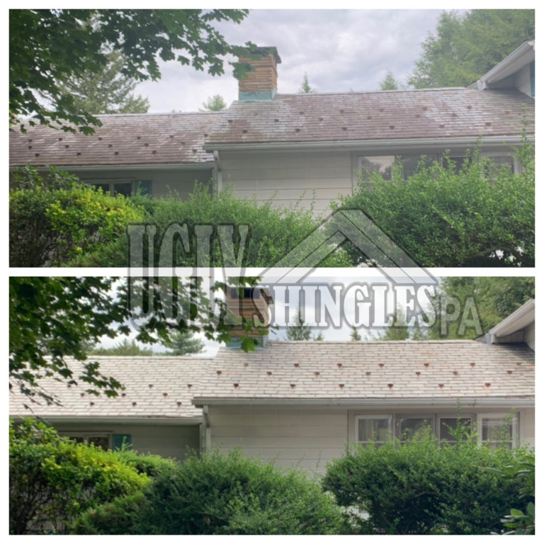 ugly shingles pa roof cleaning