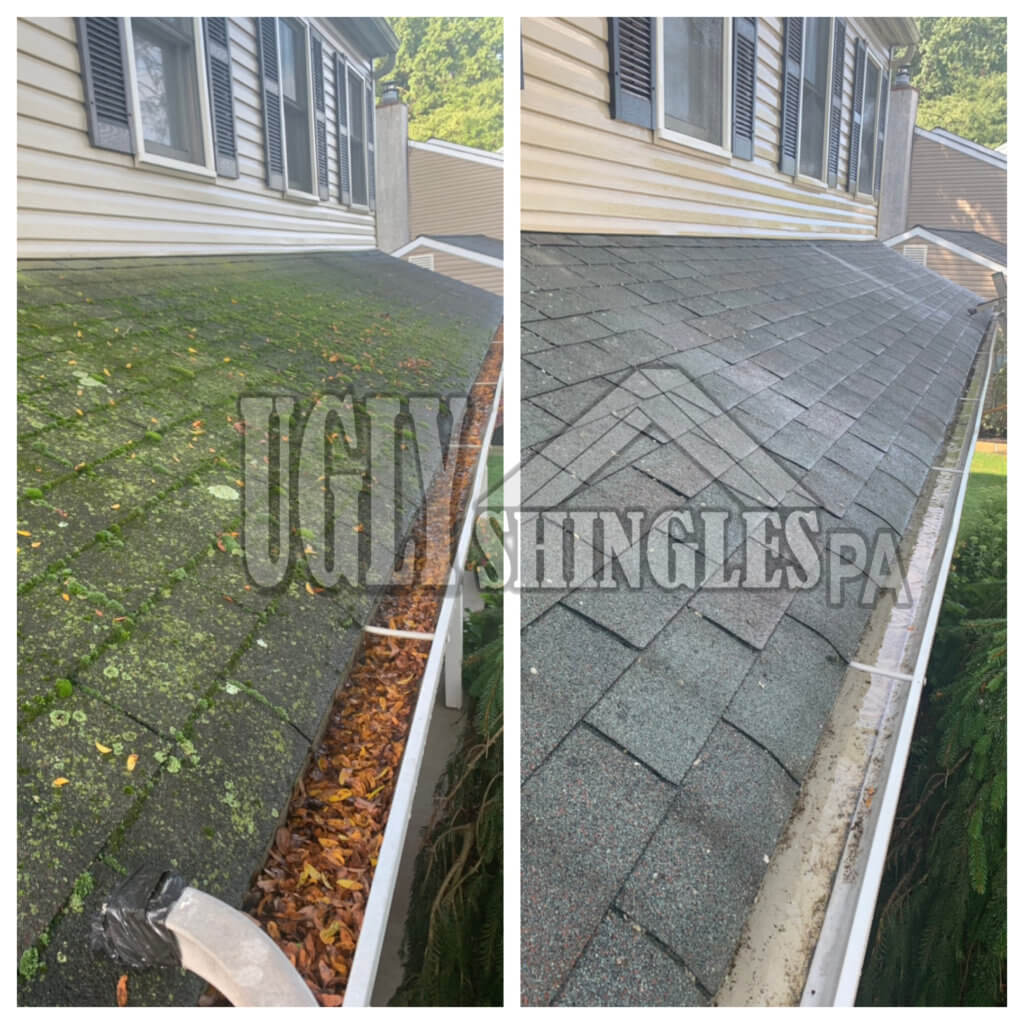 Ugly Shingles PA Gutter Cleaning