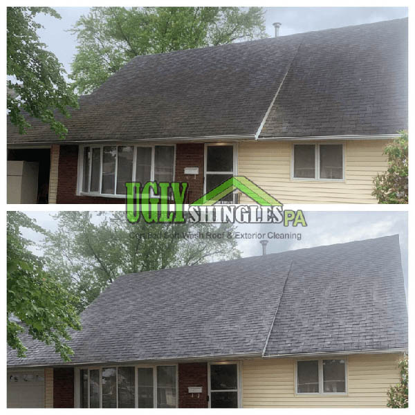 soft-wash roof cleaning